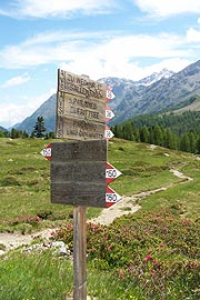 Zahlreiche Wanderpfade im Martelltal (Foto: Marikka-Laila Maisel)